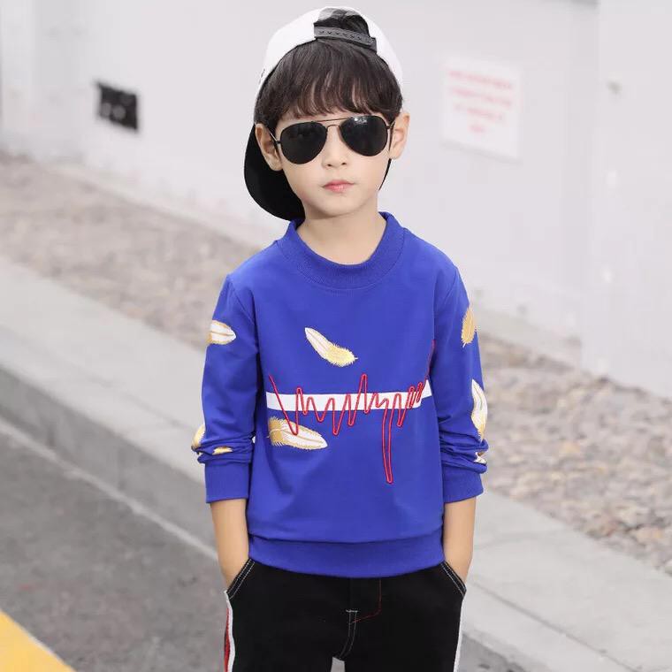 BS/COD/baju kaos anak laki laki RAEFAL/atasan kaos anak lengan panjang fashion