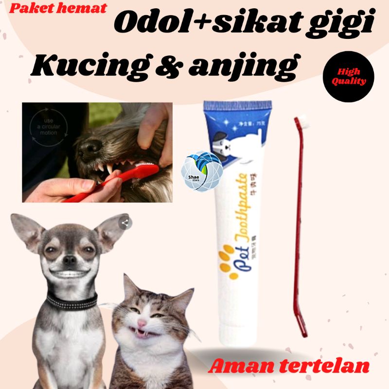 Sikat gigi dan odol kucing sikat gigi dan odol anjing Sikat gigi kucing sikat gigi anjing odol kucing odol anjing 4 in 1