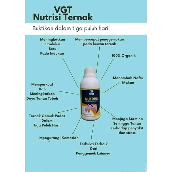 VGT nutrisi Babi vitami Babi Penggemuk Babi probiotik Babi Ternak Babi-1