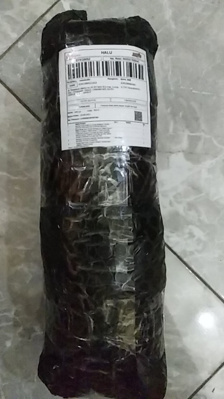 Corong Casut Cacing Sutra/ Tempat Pakan Ikan/ Tempat Cacing Sutra Merk Yang/ Corong Cacing Sutra