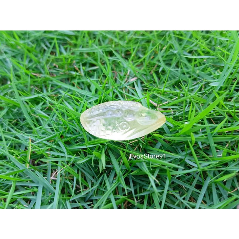 Molding Soft Frog 3D Panjang 3 cm, 3,4 cm dan 3,8 cm ME1122.1202