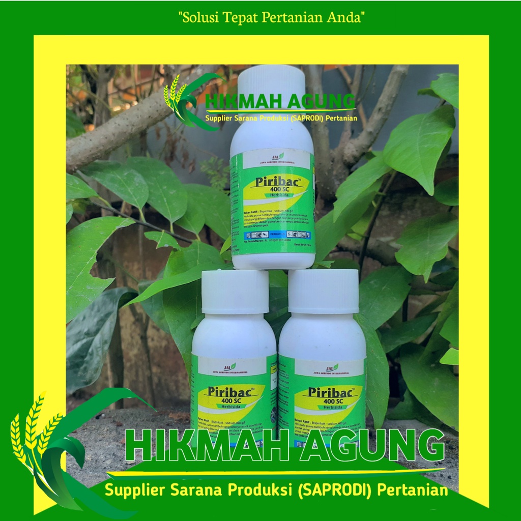 

Piribac 400 SC 100 ML Hebisida Selektif Pada Padi