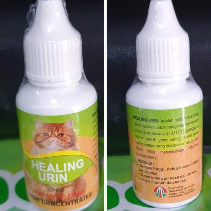 Healing Urin Anti Radang Kemih Kucing Sulit Buang Kecil