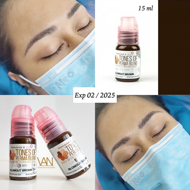 TINTA SULAM ALIS PERMABLEND FITZPATRICK BLOWOUT BROWN 15 ML/ EXP 2025