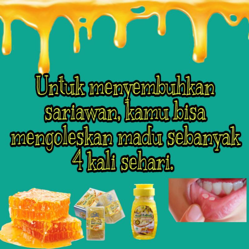 

madu sarang
