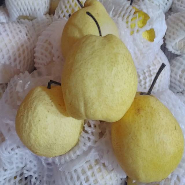 

PEAR MADU (SWEET PEAR)/1kg