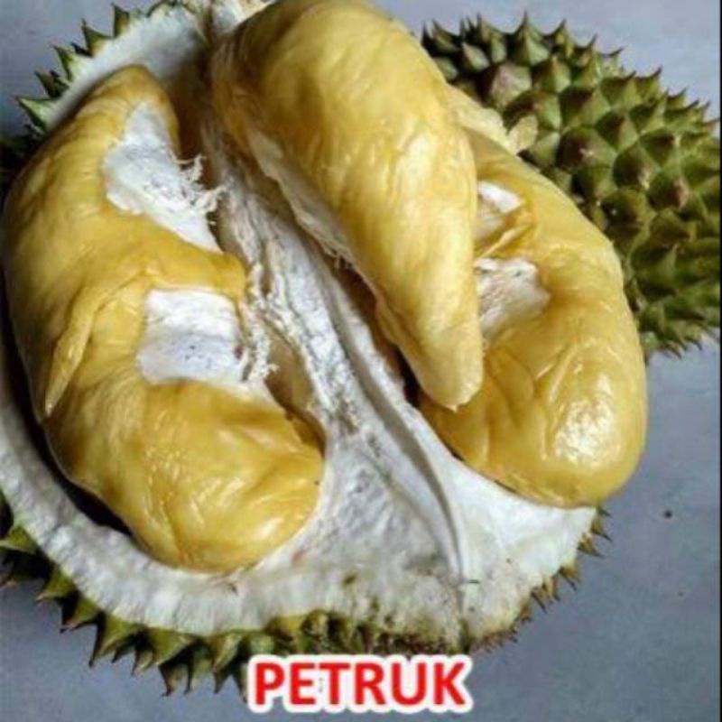 bibit durian Petruk