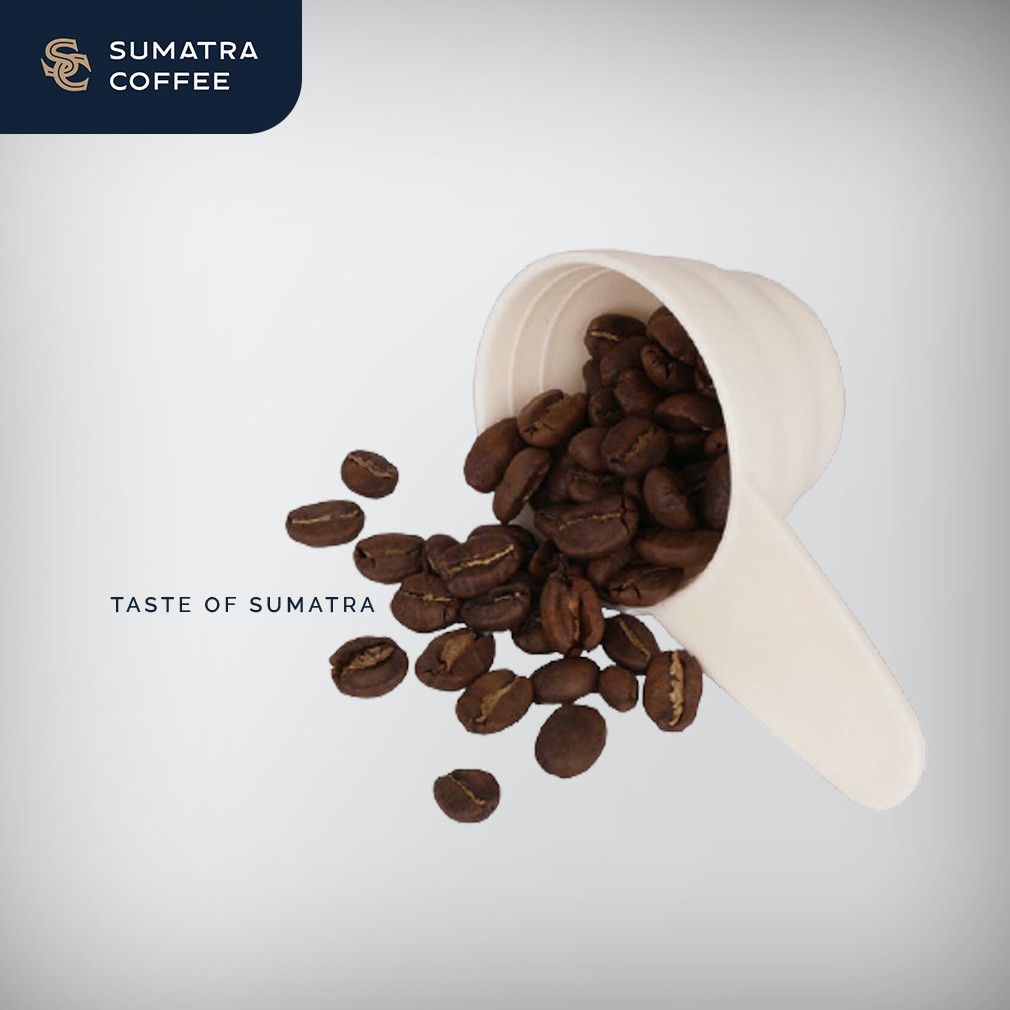 

Sendok Takar Kopi Coffee Spoon 8 -12 Gram