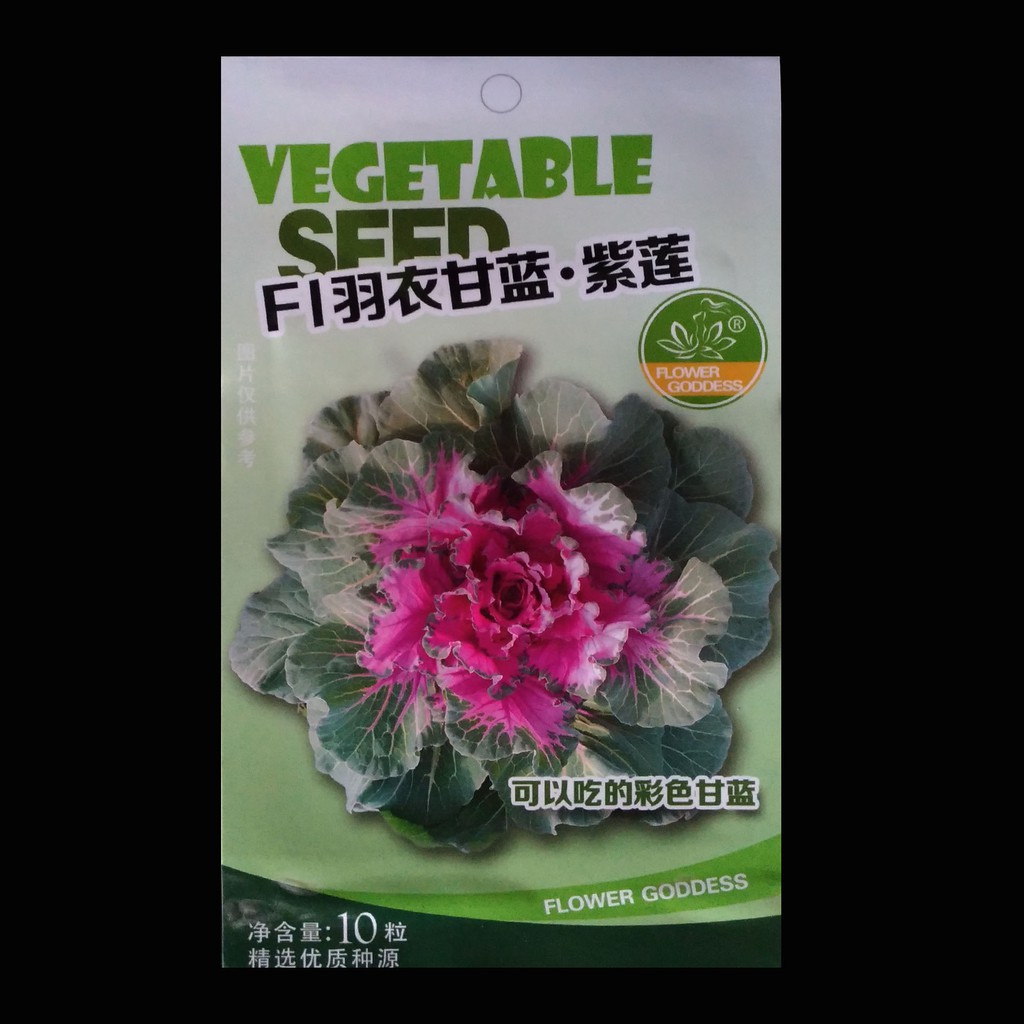 Terlaris Benih Kale F1-06 Grosir