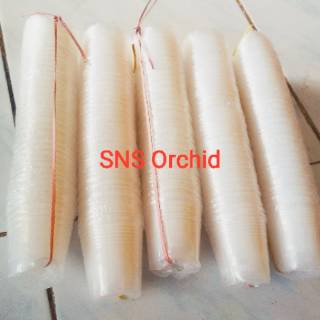 Pot plastik flexibel bening kecil ukuran seedling 5 cm isi Pot plastik flexibel bening kecil ukuran seedling 5 cm isi