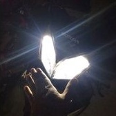 Lampu LED motor Philips M5 H6 DC kaki1 6500k PUTIH 100% original Philips Bebek Matic Mio series Fino Vario beat vario 125 spin nex shogun satria smash dll-8