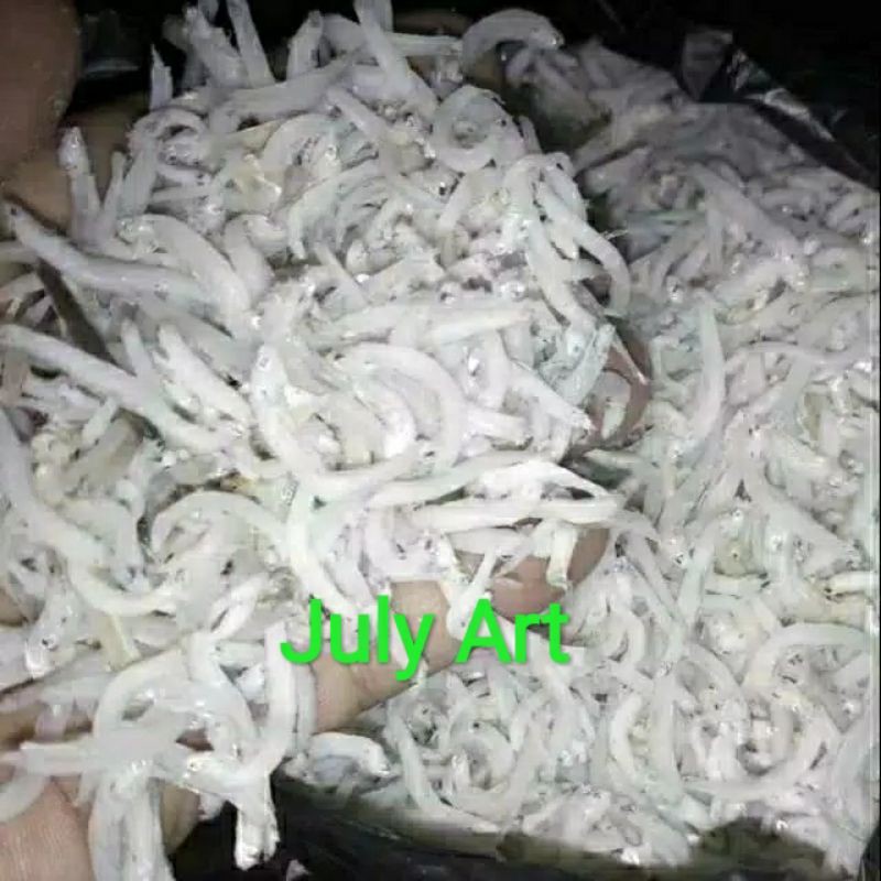 

IKAN TERI TOGE (ITT)