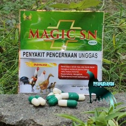 MAGIC SN Untuk Pencernaan Unggas