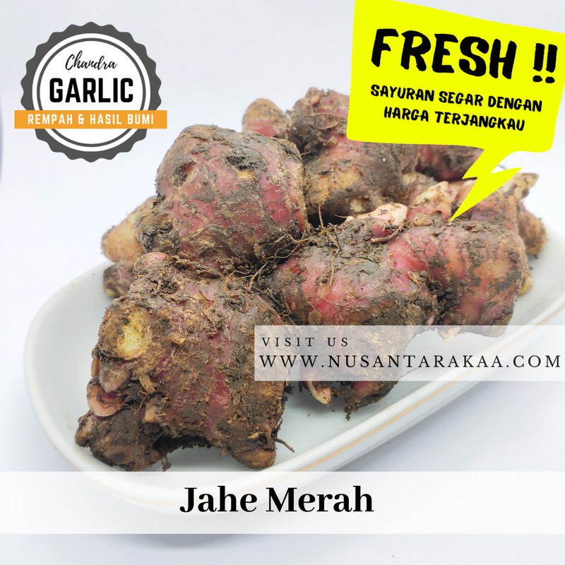 

Jahe merah 1 kg