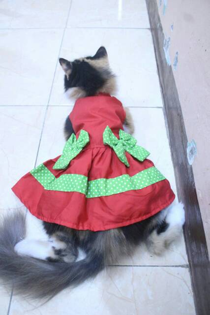 Dress lucu untuk kucing dan anjing edisi natal 2019 /baju kucing murah size S-XL