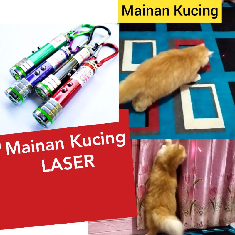 Mainan Kucing laser