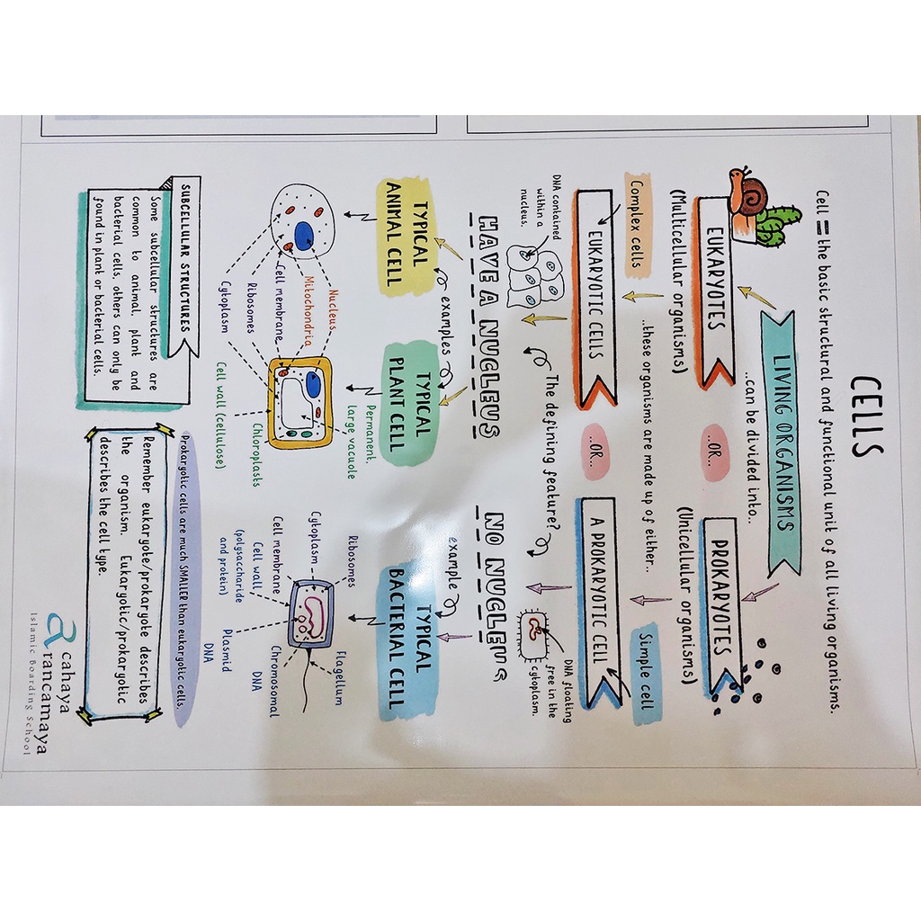 CETAK POSTER A0 - PRINT POSTER A0 PREMIUM QUALITY