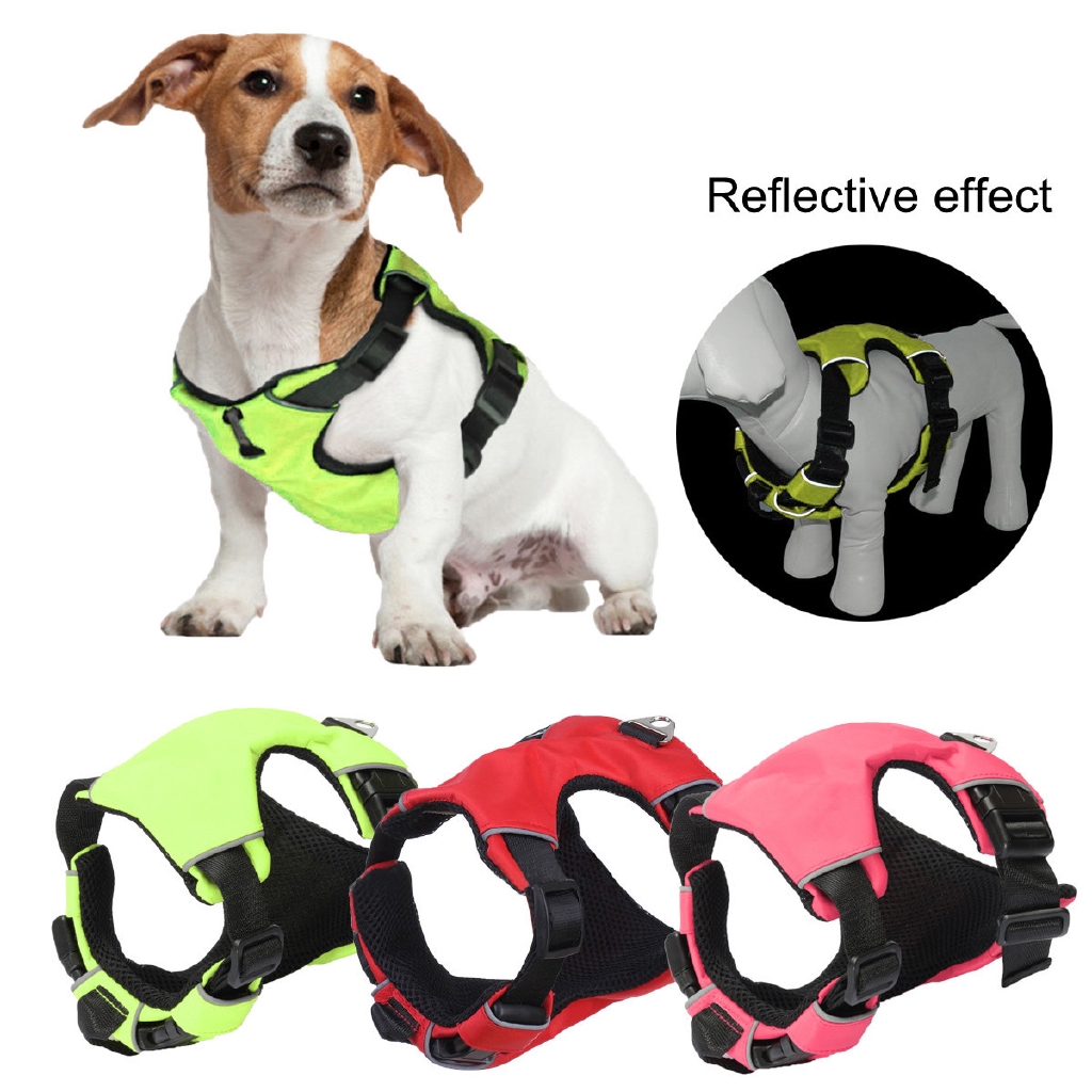 losy pet harness