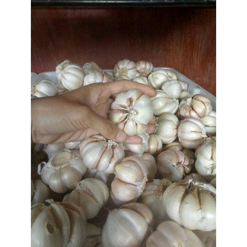 COD✓ bawang puti super pilihan bawang putih kelanting 1 kg