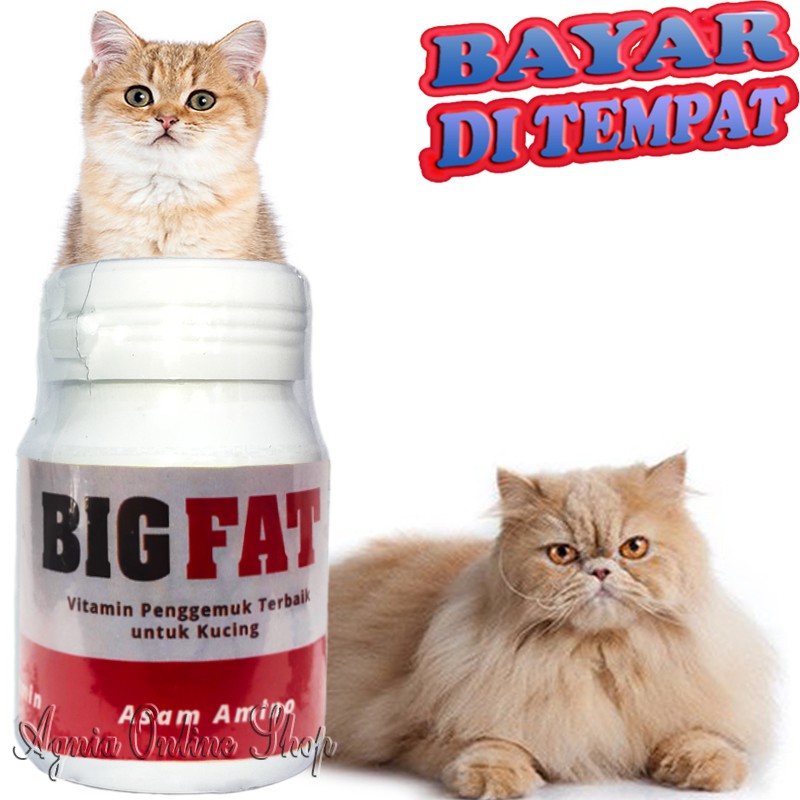 Vitamin Penggemuk Kucing Kurus BIG FAT Booster Penambah Berat Badan Nafsu Makan