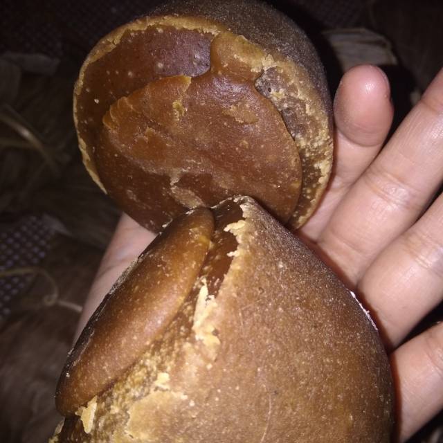 

Gula Aren Asli | Gula super kawung