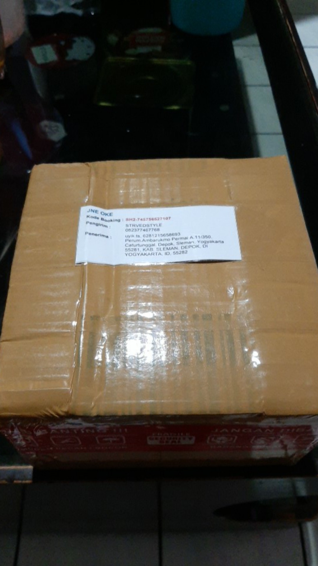 Paket Tanaman Hias Sukulen Sekulen Medium Random