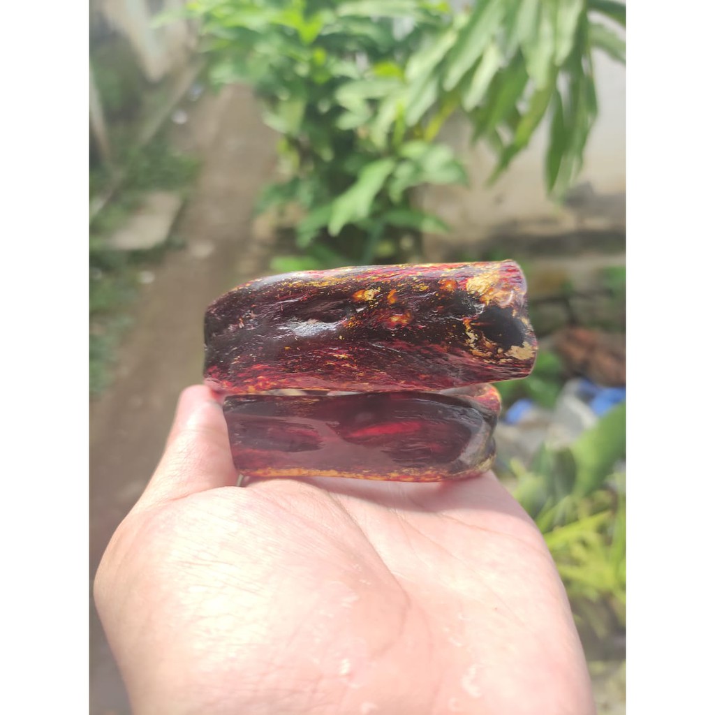 Gelang Akar Bahar Merah Jumbo Natural