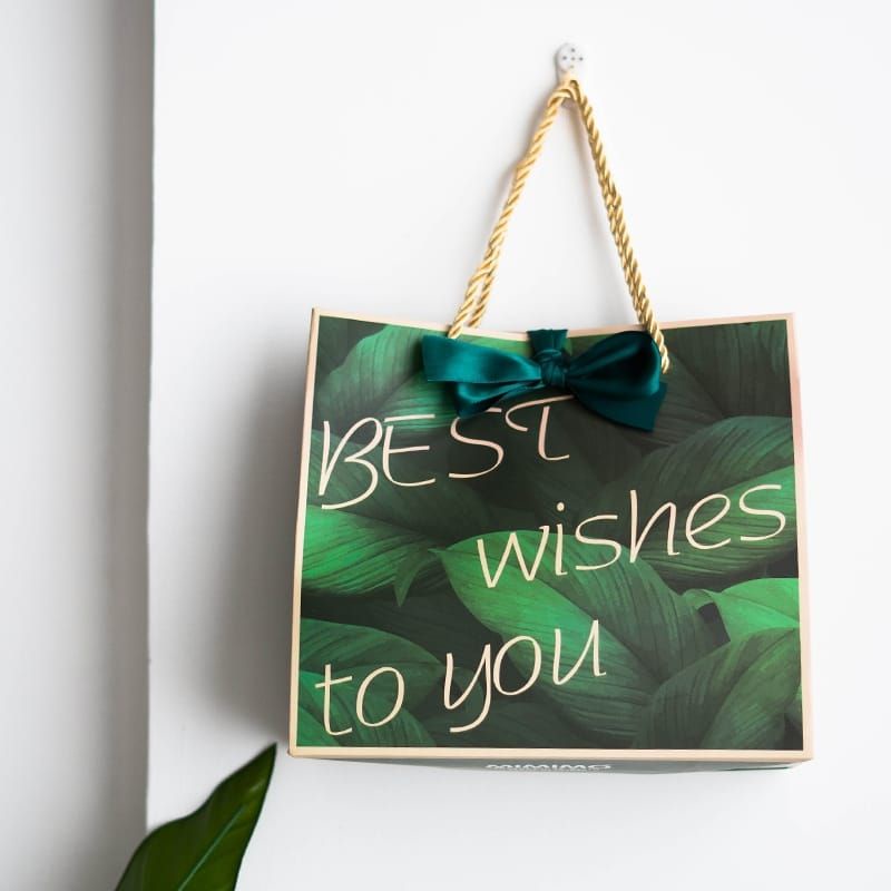 INS PAPER BAG KOREA HIJAU BEST WISHES SHOPPING BAG/TAS HADIAH PB-INS 1