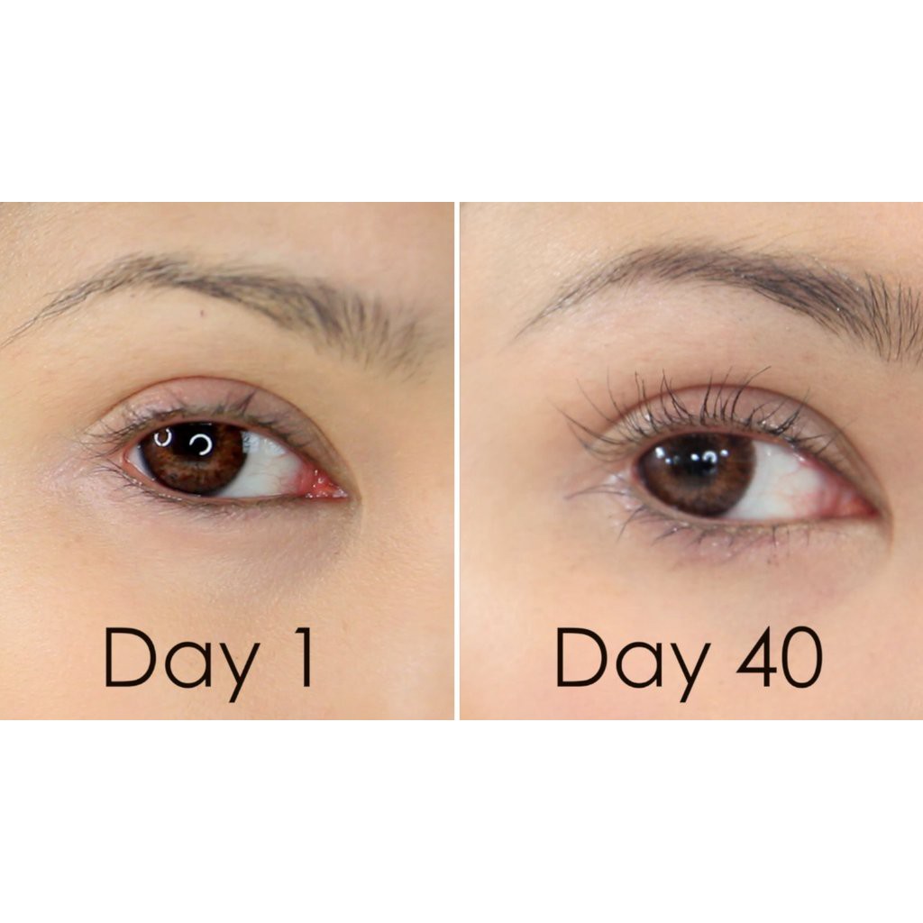 [PROMO TERBATAS] ETUDE HOUSE My Lash Serum Bulu Mata ORIGINAL KOREA
