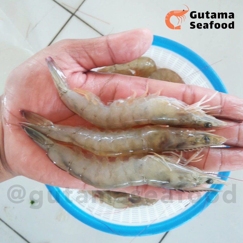 

Udang Vaname Utuh Kemasan 1 KG - Gutama Seafood Bali