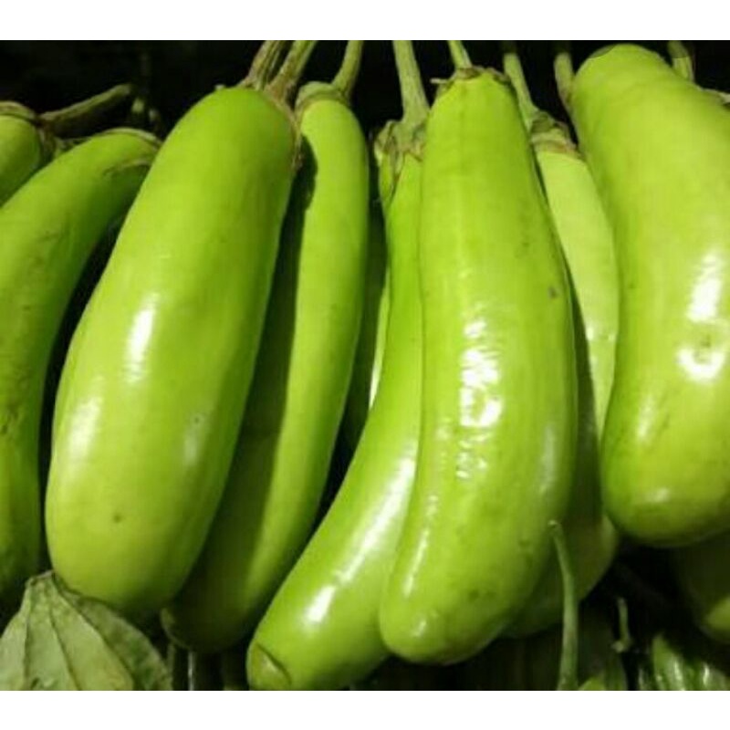 

Terong ijo segar/500grm