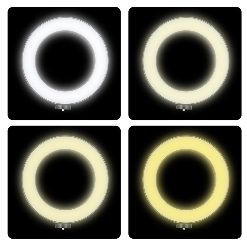TaffSTUDIO Lampu Halo Ring Light Kamera 120 LED 24W 26cm with Smartphone Holder - RL-22