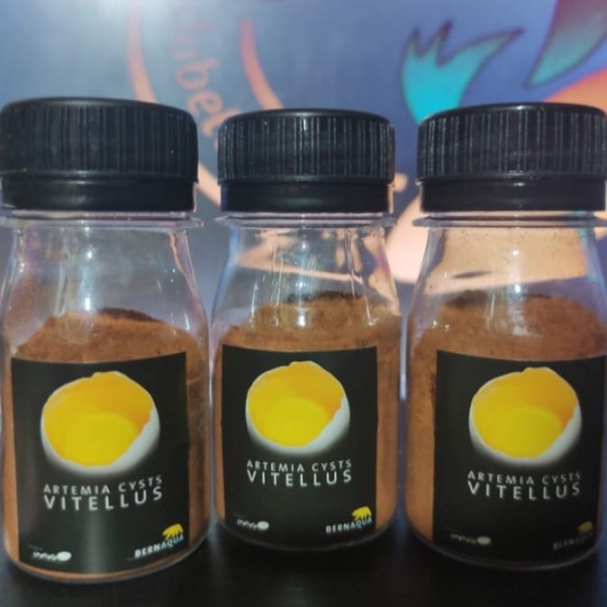 ARTEMIA INSTAN VITELLUS 20 GRAM ARTEMIA DECAPSULATED TANPA CANGKANG