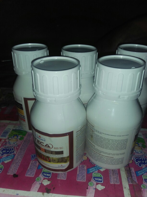 Azteca 600sc Kemasan 250ml Fungisida Anti Bun Upas