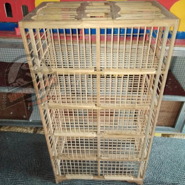 Dondang kandang dongdang lepas lomba burung merpati dara pintu 10 pasang bahan kayu jati ruji bambu