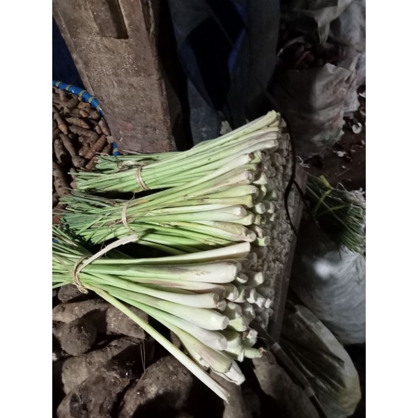 

Sereh segar jumbo bumbu masak 500 gram