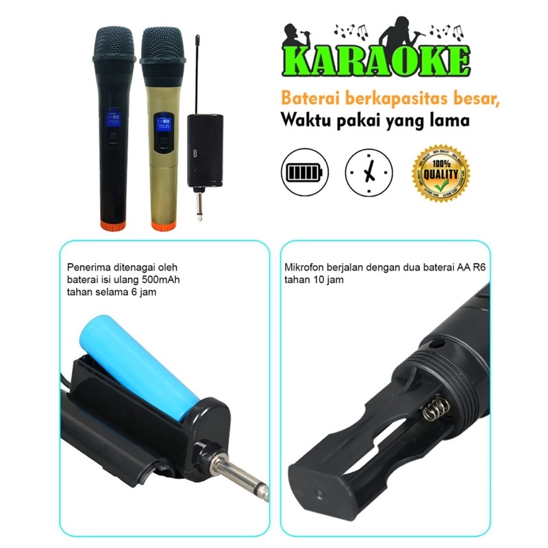 Wireless Microphone Dual Karaoke Mic with 1 Receiver 2 mic bluetooth