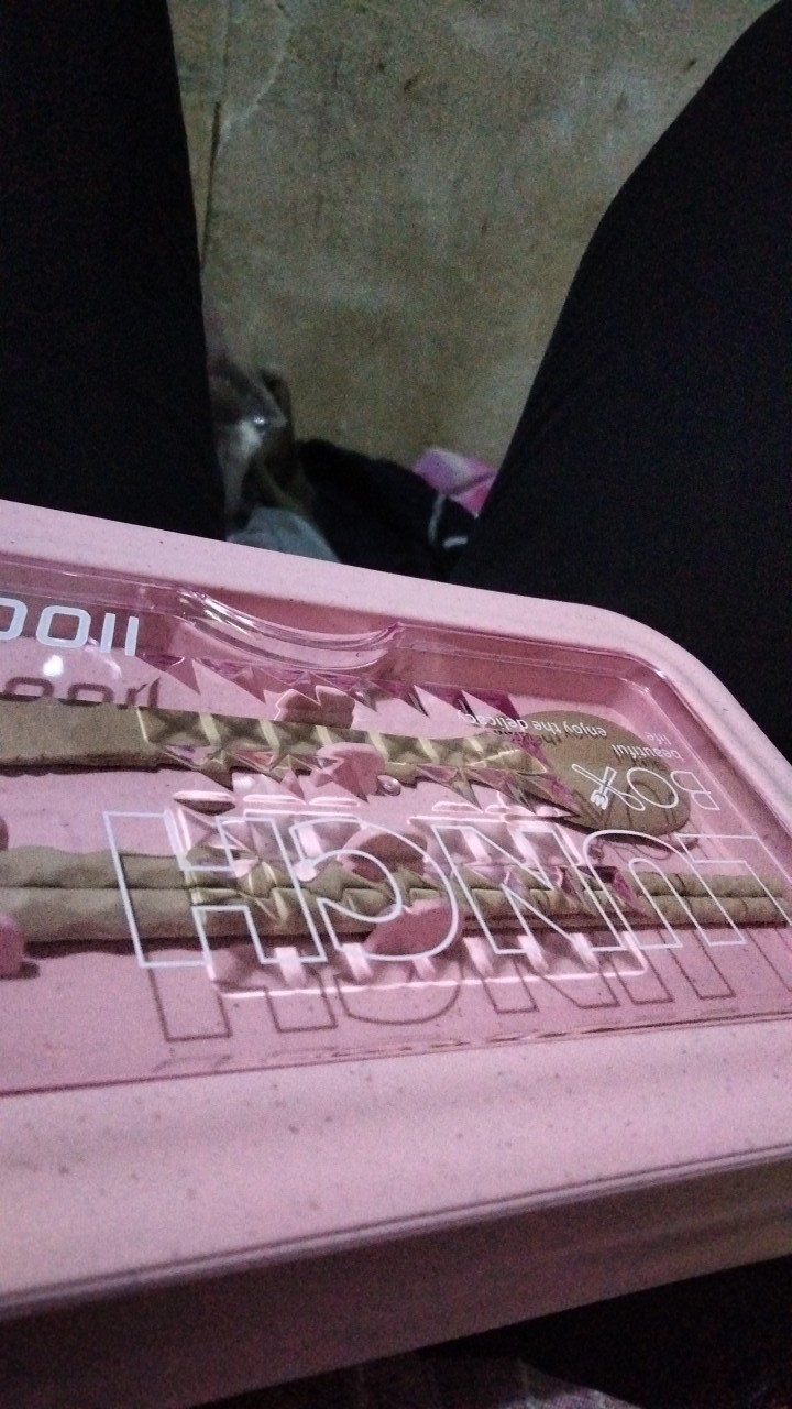 Kotak Makan Transparant Lunch Box Bento Box 1100ml Bpa Free