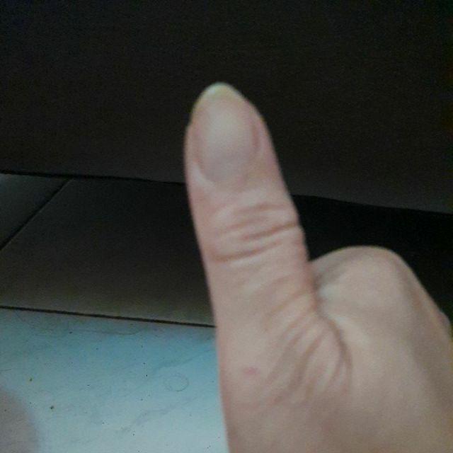 Serbet Kartun Warna.