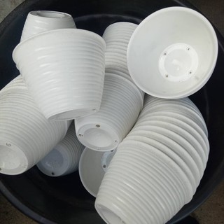  Pot  Model  Tawon  12 cm Putih Pot  Bunga  Tamanan Plastik 