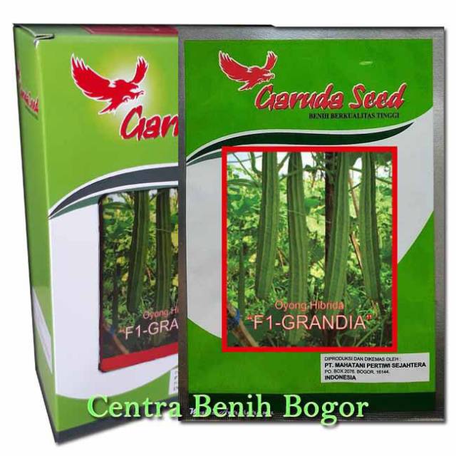 Benih Oyong/gambas GRANDIA F1 isi 10gr -bibit oyong/ gambas
