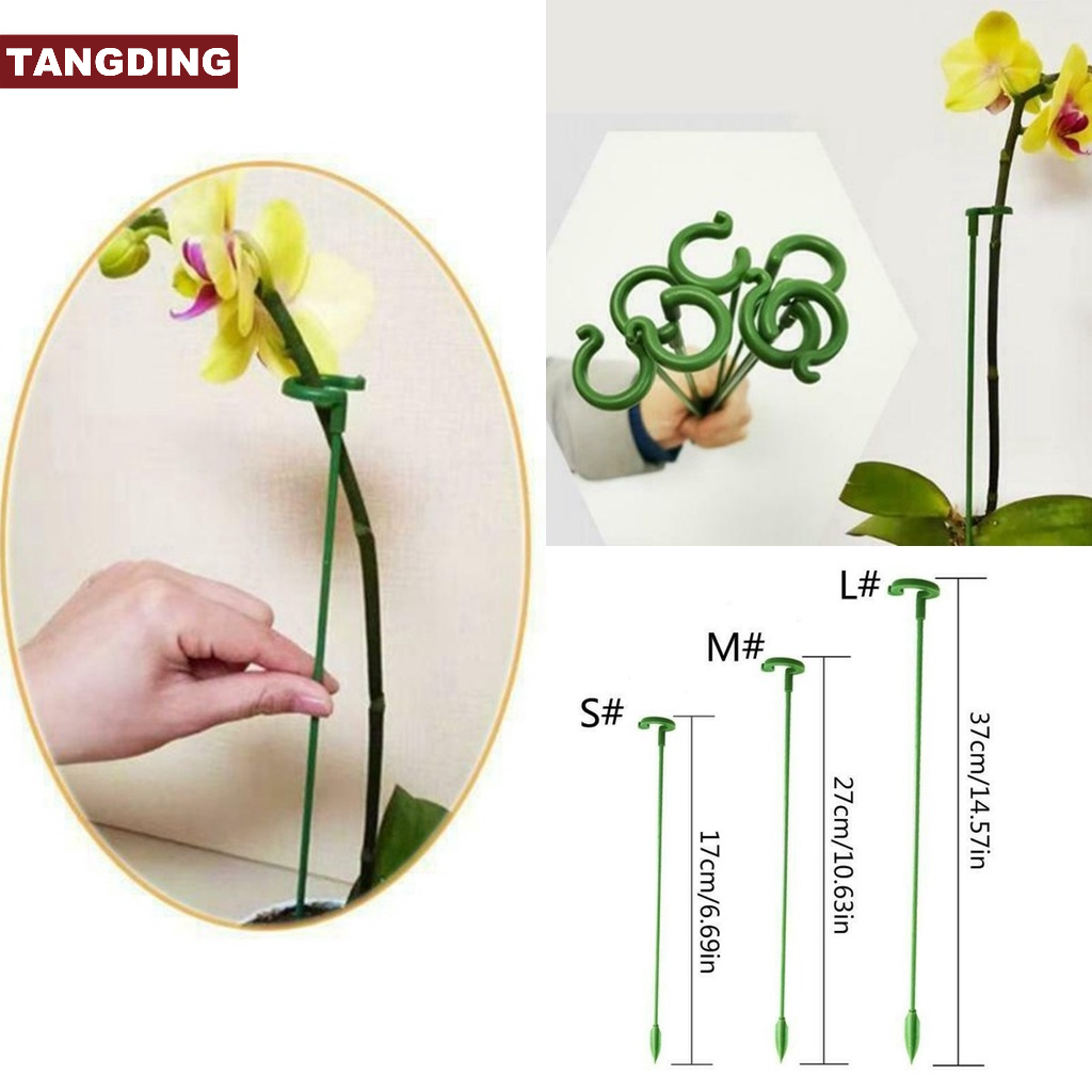 【COD Tangding】【COD Tangding】10pcs Bracket Holder Batang Tanaman Bonsai Model Tunggal Untuk Taman