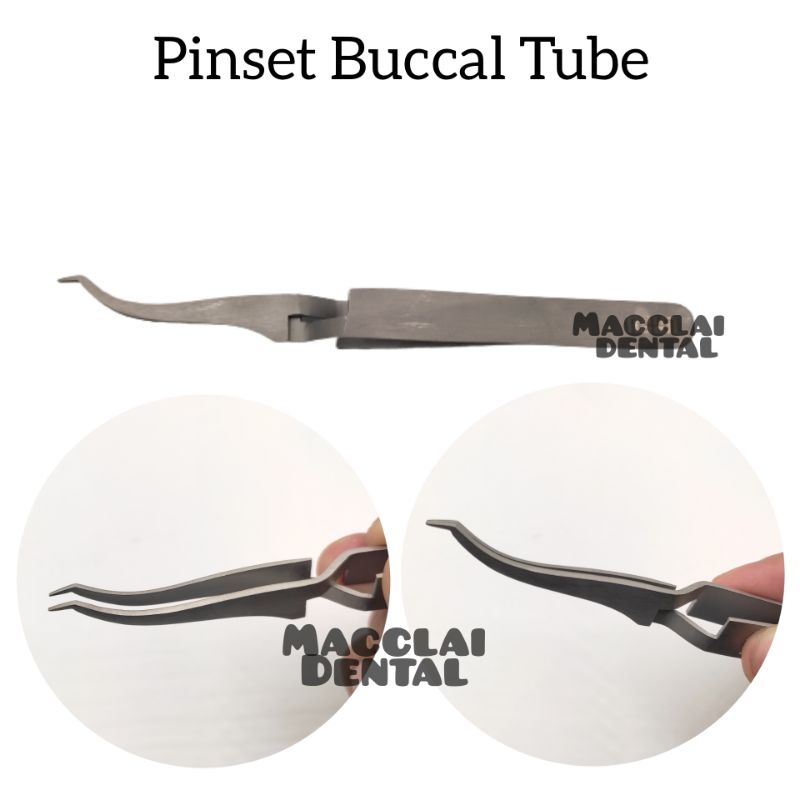 PINSET BUCCAL TUBE BUCCALTUBE BEHEL HOLDER