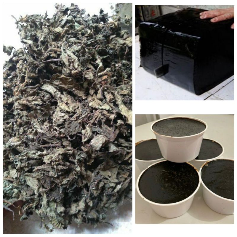 BAHAN CINCAU HITAM [ JANGGELAN ] KHUSUS DAUN 1KG BELI 5KG GROSIR