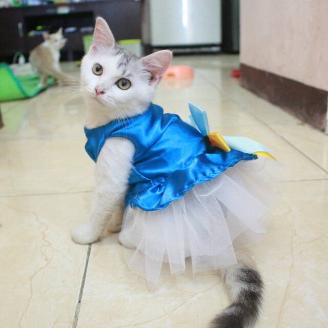 Dress Elsa Frozen V.2 untuk kucing dan anjing lucu murah meriah size S-XL