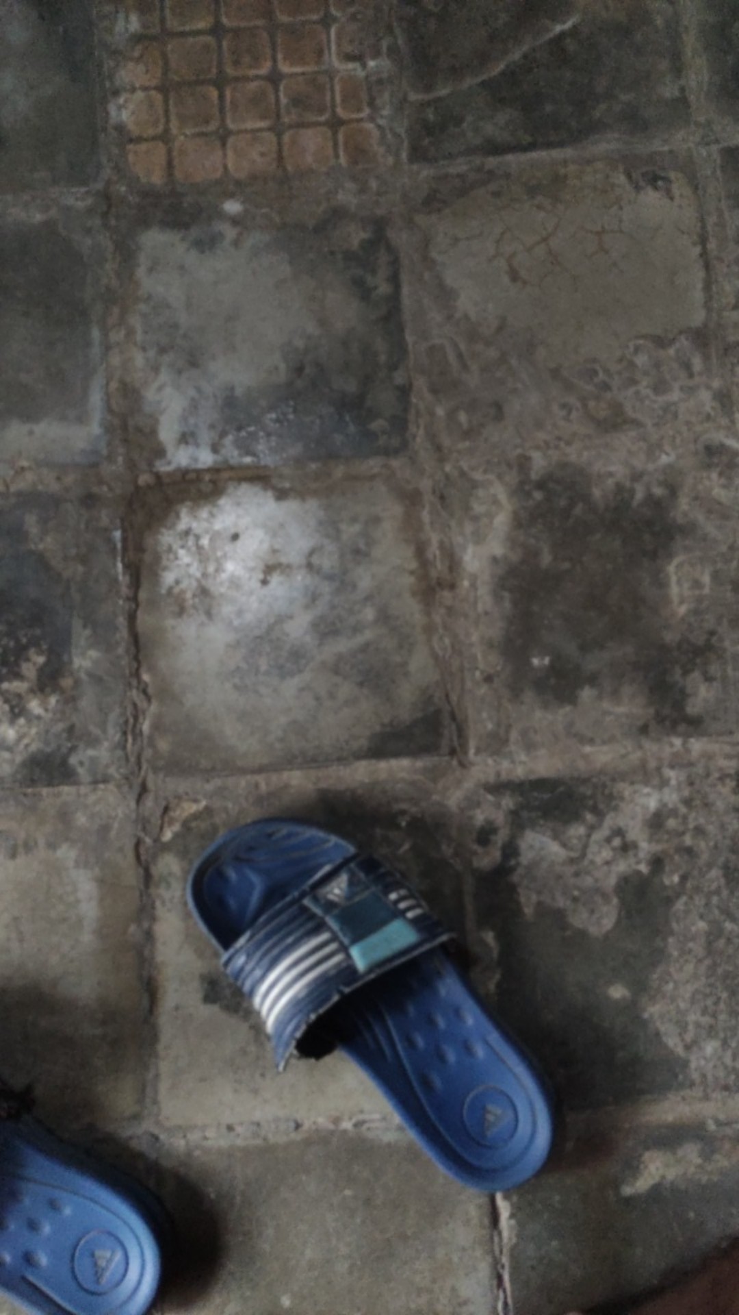 Kemeja Batik Pria Lengan Pendek Exclusive Kemeja Batik Cowok Kerja Kantoran Batik Songket 1024