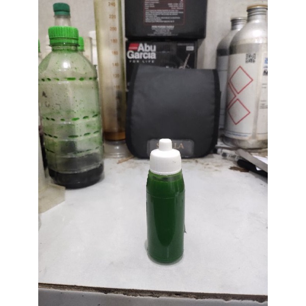 essen galatama lele media jangkrik