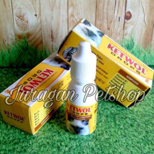 KETWOL DROPS TERMURAH| Nutrisi/Vitamin Penumbuh Bulu Kucing|Ketwool Drops