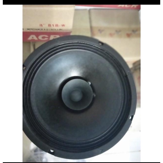Speaker full range 8 inch ACR C 810 DFH