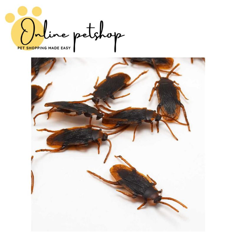 MAINAN KUCING KECOA PLASTIK